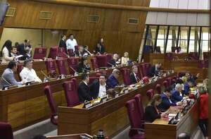 Próxima sesión de Diputados tratará la prórroga de plazo para “comisión garrote” - Nacionales - ABC Color