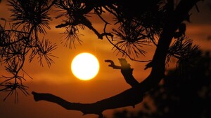 El Sol, en su máximo de actividad magnética pero 'sin estridencias'