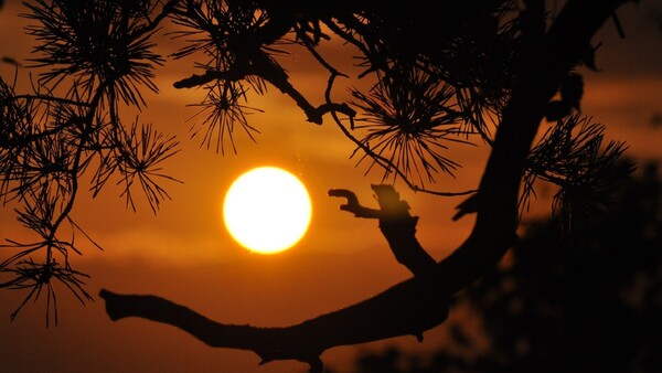 El Sol, en su máximo de actividad magnética pero 'sin estridencias'
