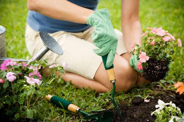 Jardinería: poderosa herramienta de relajación y bienestar personal - Estilo de vida - ABC Color