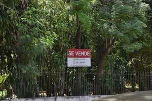 Alerta en bosque urbano: vecinos declararán ante la Fiscalía, tras denuncia por tala de árboles - Nacionales - ABC Color
