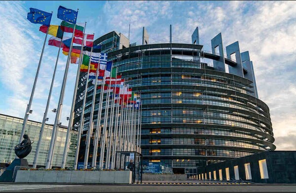 Postergan Ley "antideforestación" de la UE e introducen nuevas enmiendas - 1000 Noticias