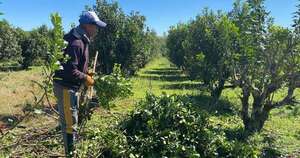 La Nación / Fecoprod ayudó a mejorar competitividad de mipymes y productores