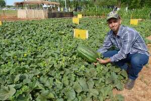 Carapeguá: Estudiantes universitarios presentan propuestas de diversificación productiva en el “Día de Campo Agro” - Nacionales - ABC Color