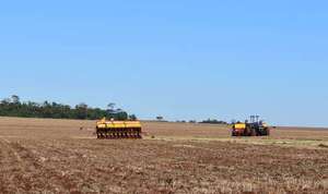 Advierten que La Niña puede afectar récords de la campaña agrícola - Economía - ABC Color