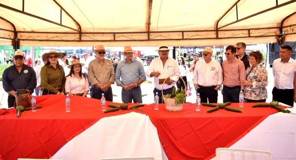 La ARP Regional San Pedro premió a colegios destacados en concurso frutihortícola