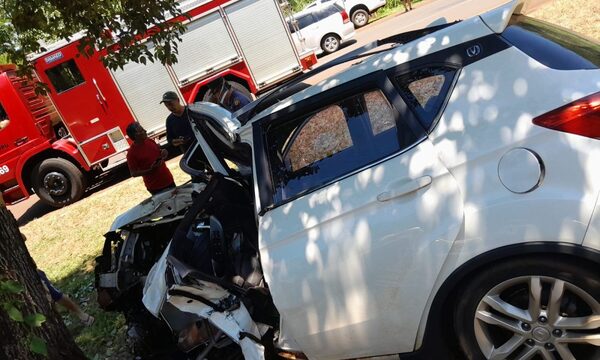 Joven pierde la vida tras estrellarse con su vehículo contra un árbol en Hernandarias – Diario TNPRESS