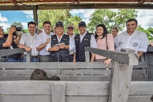 Se inmunizó a 13,4 millones de bovinos contra la aftosa y con la brucelosis se obtuvo “una vacunación sin precedentes”