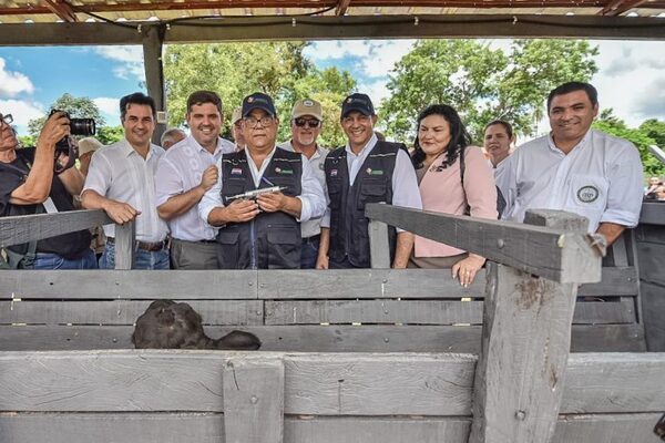 Se inmunizó a 13,4 millones de bovinos contra la aftosa y con la brucelosis se obtuvo “una vacunación sin precedentes”