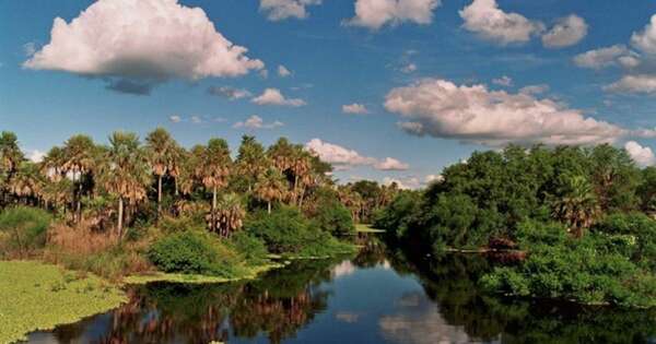 La Nación / Buscan impulsar el desarrollo turístico sostenible en el Pantanal paraguayo