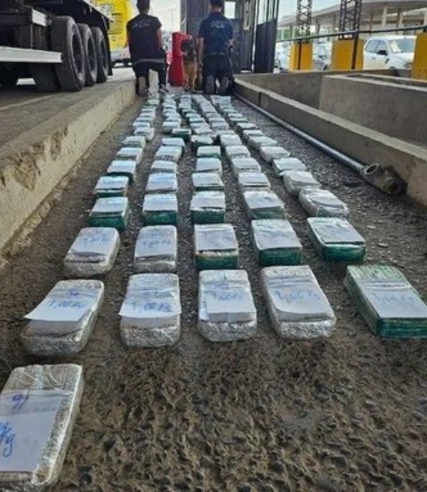 Decomisan en Formosa droga procedente de Paraguay - ADN Digital