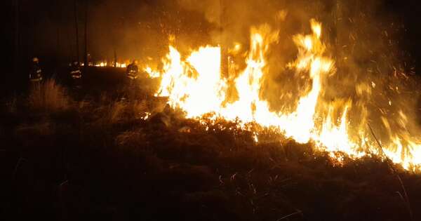 Diario HOY | Incendio en bosque: fuego rodeó y casi atrapó a cuadrilla de combatientes