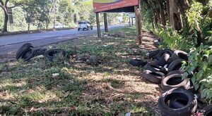 Inadaptados siguen “colaborando” con los criaderos de mosquitos - La Clave