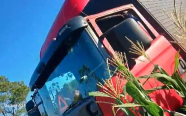 Pelotón de criminales hicieron de las suyas: volvieron a atacar a un camión con mercaderías