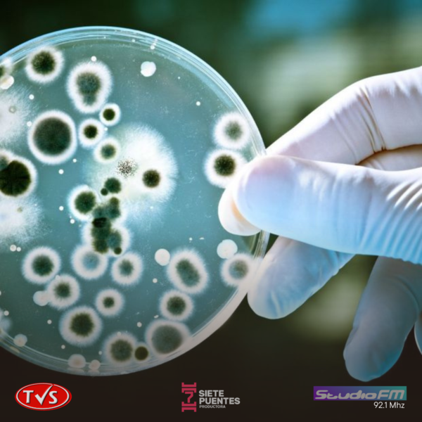 Superbacterias: Una Amenaza Global Mayor que el Infarto, Advierte el Ministerio de Salud - TVS