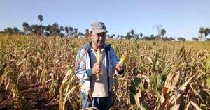 La Nación / Expertos vaticinan una “Niña débil” para el sector productivo