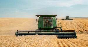 El trigo subió en la Bolsa de Chicago 13,25 centavos de dólares