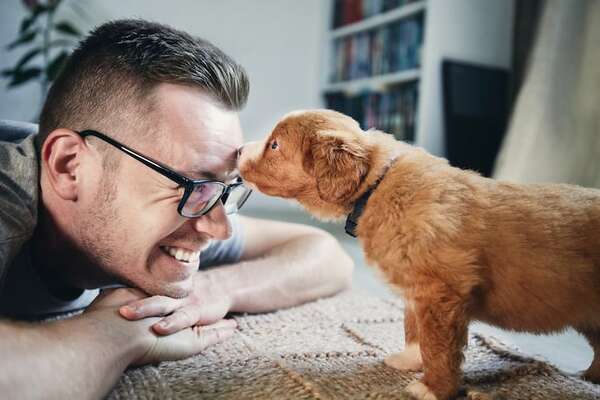 Cómo preparar un hogar seguro para una nueva mascota - Mascotas - ABC Color