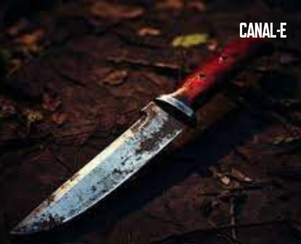 ADOLESCENTE ACUCHILLÓ A SU MADRASTRA TRAS DISCUSIÓN