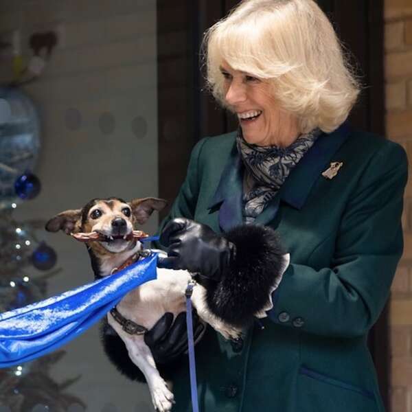 La reina Camila está triste, murió su querida perrita Beth - Gente - ABC Color