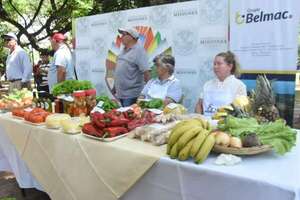 Se realizó el lanzamiento oficial de la “Expo Orgullosamente Misionero” - Nacionales - ABC Color
