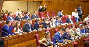 La Nación / Diputados acepta veto parcial y sanciona proyecto de fomento de uso del etanol
