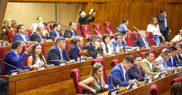 La Nación / Diputados acepta veto parcial y sanciona proyecto de fomento de uso del etanol