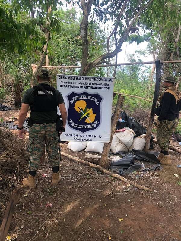 Destruyen cultivos y marihuana picada en el Parque Nacional Serranía San Luis - Nacionales - ABC Color