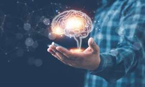 La conectividad del cerebro experimenta un rápido aumento en la transición al nacimiento - Ciencia - ABC Color
