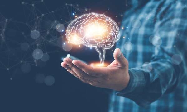 La conectividad del cerebro experimenta un rápido aumento en la transición al nacimiento - Ciencia - ABC Color