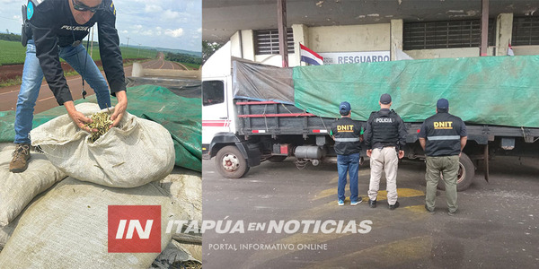INCAUTAN CARGAMENTO DE YERBA MATE EN CARLOS A. LÓPEZ - Itapúa Noticias