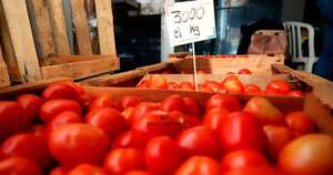 La Nación / Presentan plan productivo de tomate para cubrir demanda nacional