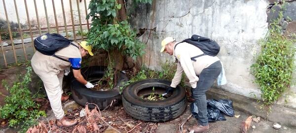 Intensifican las acciones de prevención del dengue ante la temporada de lluvias - ADN Digital