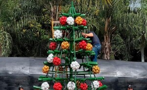 Declaran de Interés Nacional “Navidad del Este