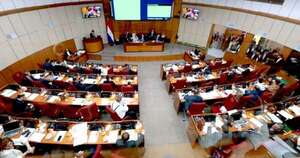 La Nación / Posturas dispares en Senado sobre combustibles y seguros médicos