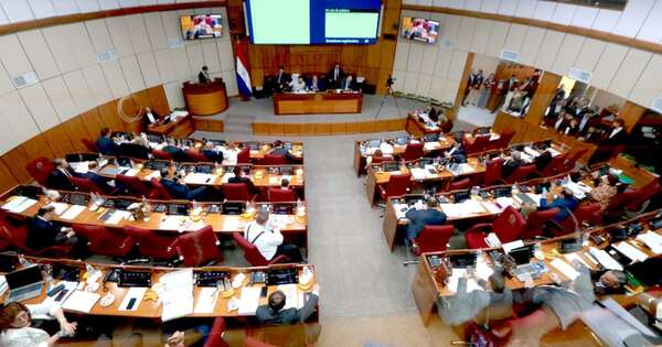 La Nación / Posturas dispares en Senado sobre combustibles y seguros médicos