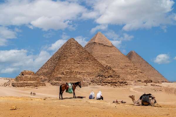 Los perros callejeros en las pirámides de Egipto: una sensación - Viajes - ABC Color