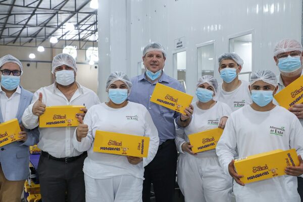 Inauguran planta fabril con capacidad de producción de 150.000 magdalenas - La Clave