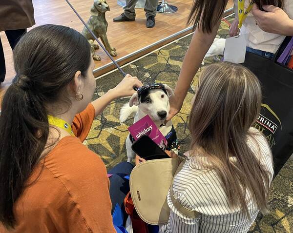 ExpoVet: invitan a conocer nuevas tendencias en el mundo de las mascotas - Unicanal