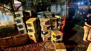 Presunto empleado desleal huyó con electrodomésticos valuados en G. 500 millones