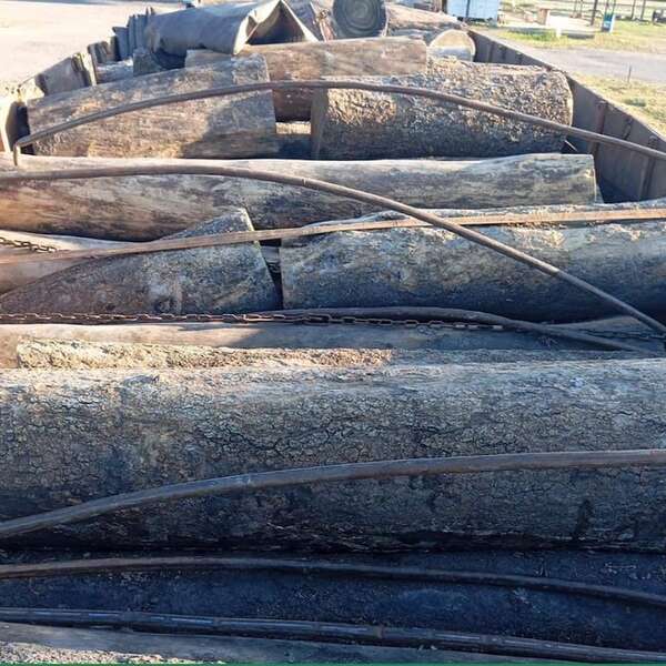 Incautan rollos de palo santo en ruta de la Bioceánica - Noticias del Chaco - ABC Color