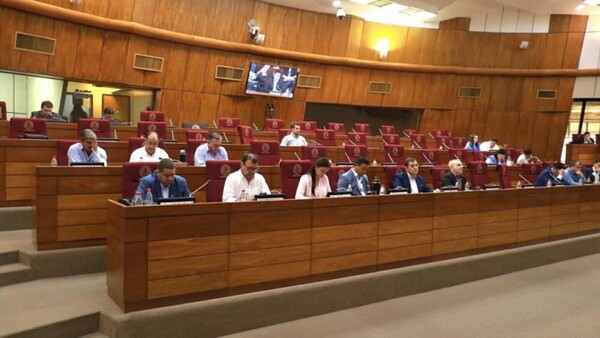 Bachi Núñez pide excluir cupos de combustible para el Senado en el PGN 2025