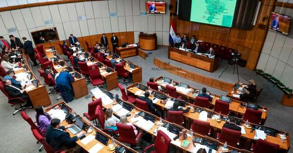 La Nación / Senado aprueba propuesta de modificación de varios artículos de la Ley de Mipymes