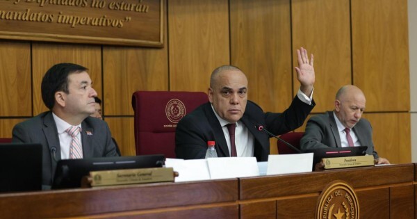 Bachi quiere aplicar la motosierra en el Senado y eliminar más de 200 direcciones
