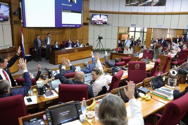 Senado aprueba dos millonarios préstamos para “modernizar” sistema eléctrico y pagar deuda - Política - ABC Color