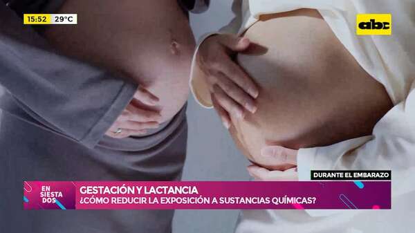 Gestación y lactancia: ¿Cómo reducir la exposición a sustancias químicas durante el embarazo? - Ensiestados - ABC Color