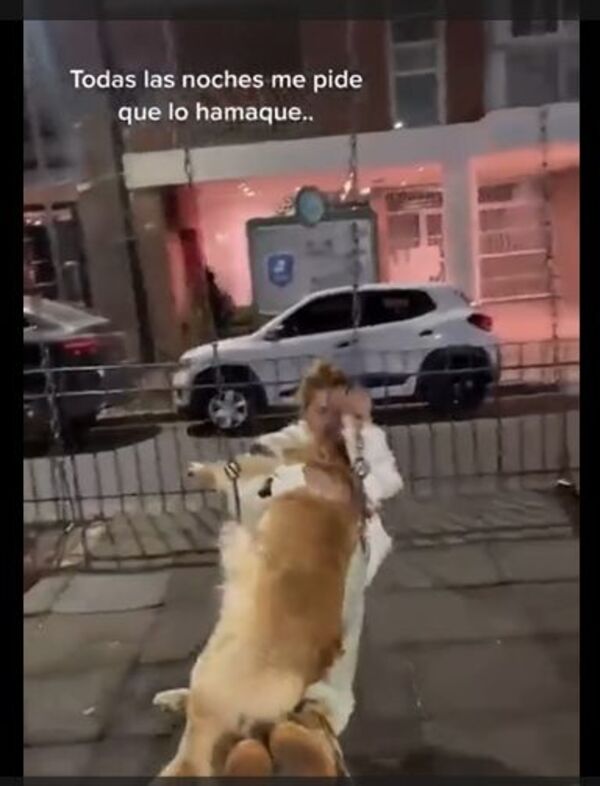 (Video) Viral: ¡A la plaza! Cada noche perrito lleva a su dueña para hamacarse
