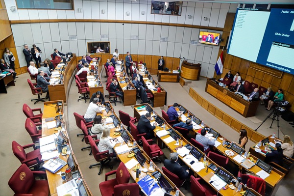 Cámara de Senadores aprueba modificaciones en la Ley de Mipymes