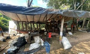 Buscaban a los asesinos del triple crimen y encontraron marihuana