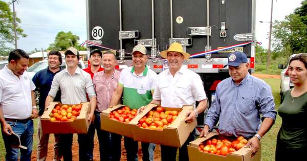 La Nación / Tomate: presentaron un plan productivo